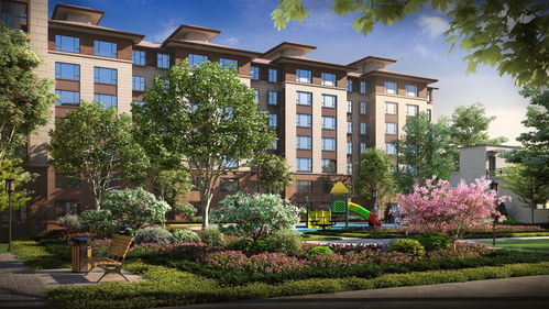 阳光板雨棚安装步骤及注意事项——鼎龙木业专业指南