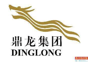 鼎龙集团 以 文旅 推动乡村振兴,开辟帮扶新模式